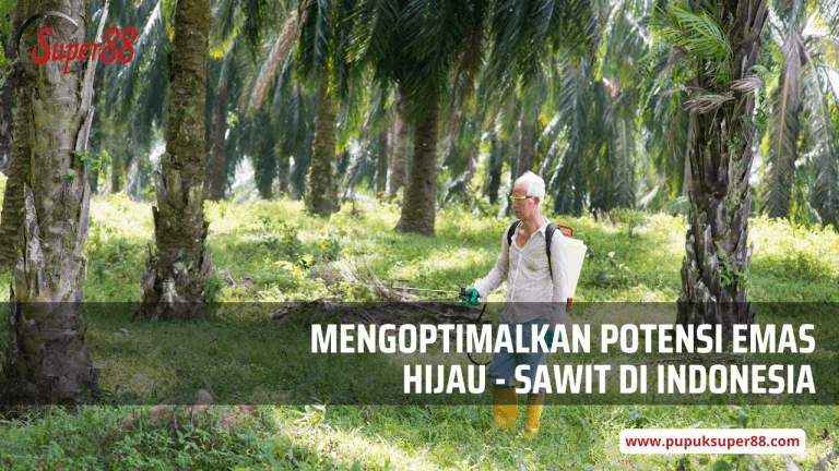 Mengoptimalkan Potensi Emas Hijau – Sawit di Indonesia